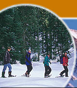 Snowmobiling