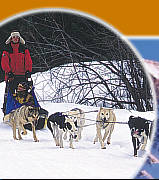 Snowmobiling