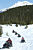 kids snowmobiling